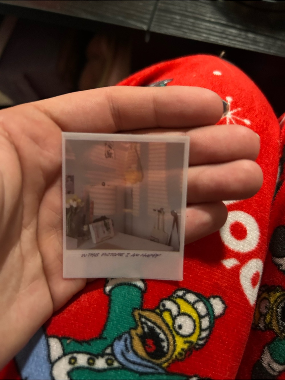 Polaroid-Style Mini Photo Print - Red Background